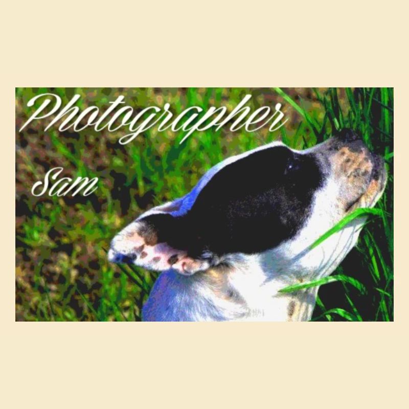 SamPhotographer