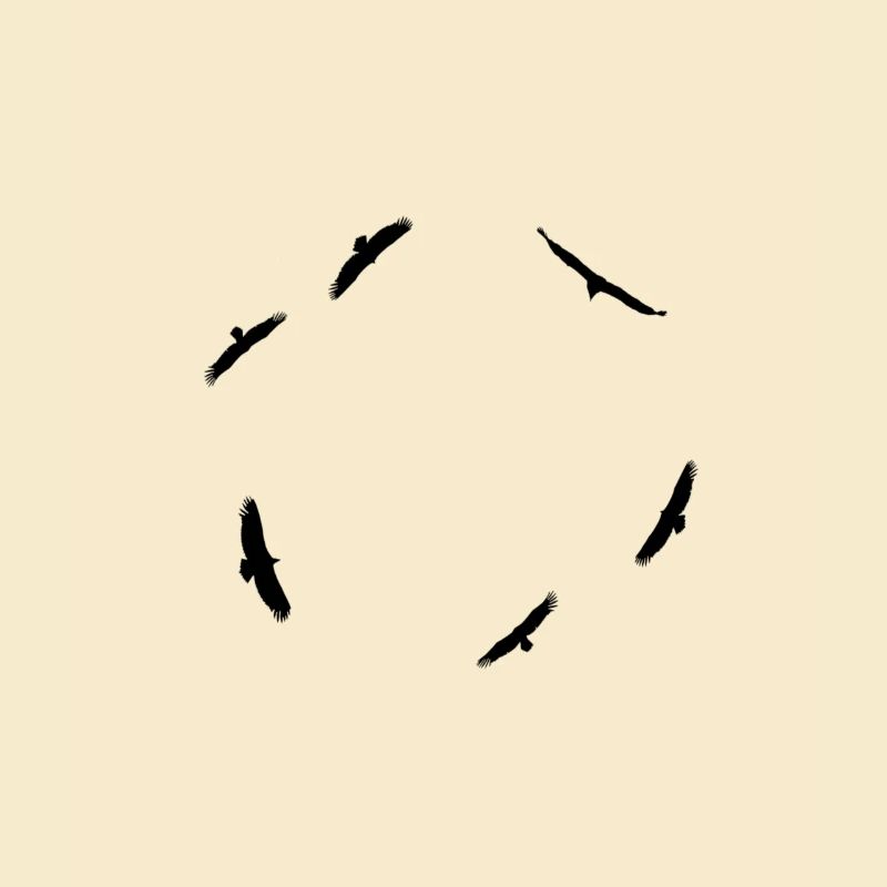 Adlerflug