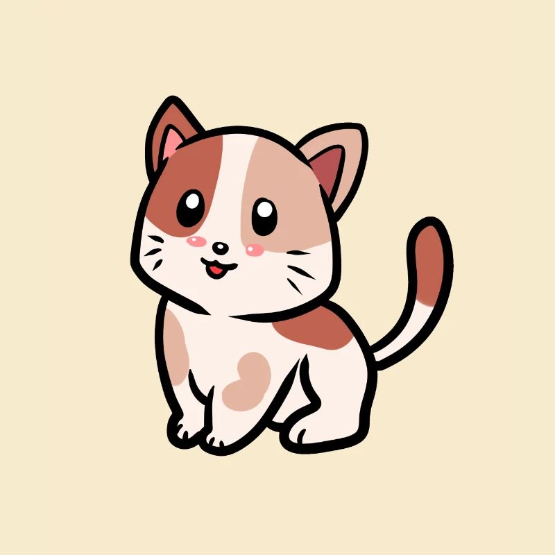 Chats Chats Kitten Bébé Animaux Animaux