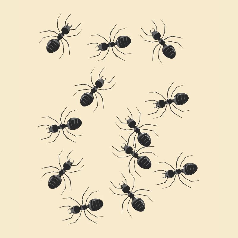 Fourmis Animaux Insectes Insectes Animaux de la forêt