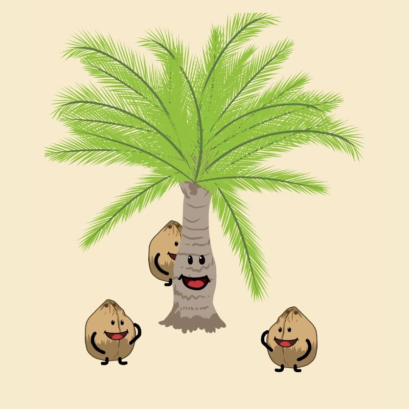 Coconut Palm Trees Nut Nuts Botanical