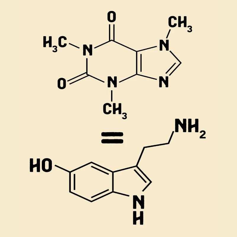 La caféine correspond à la molécule de sérotonine dopamine