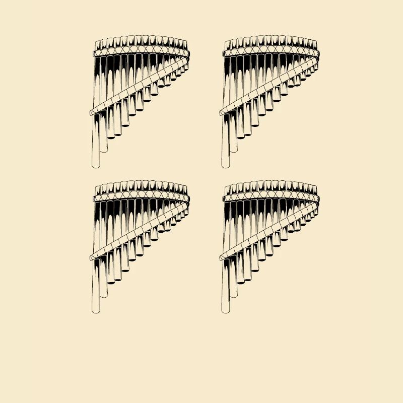 Panflute Panflute player Panflutist