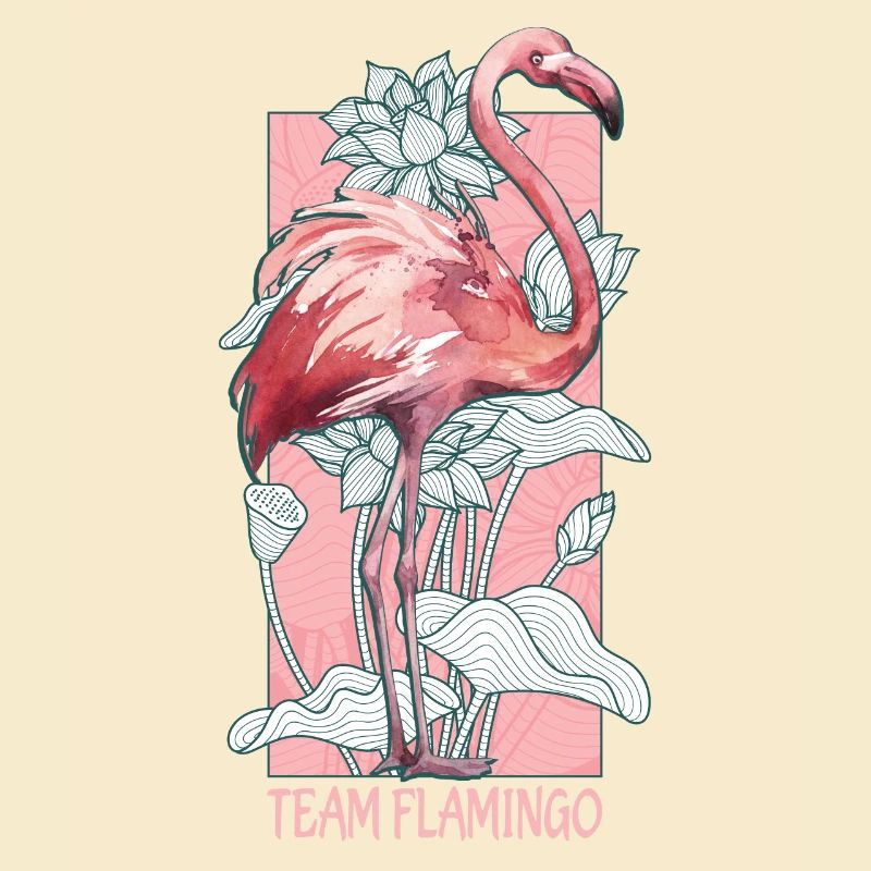 Équipe Flamingo Aquarelle Aquarelle Animaux