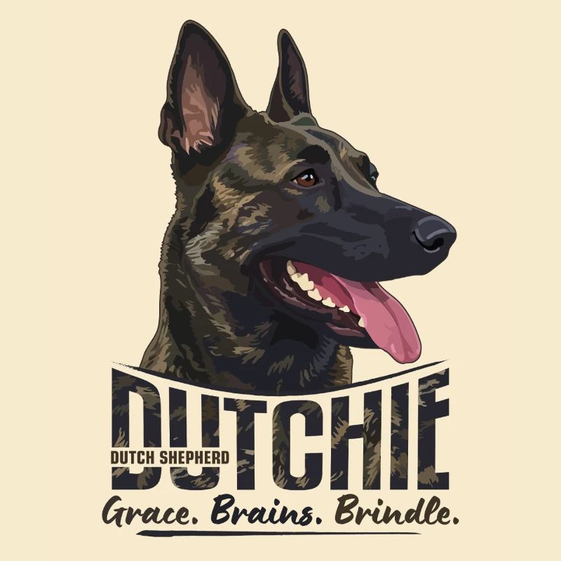Dutchie - Holländischer Schäferhund