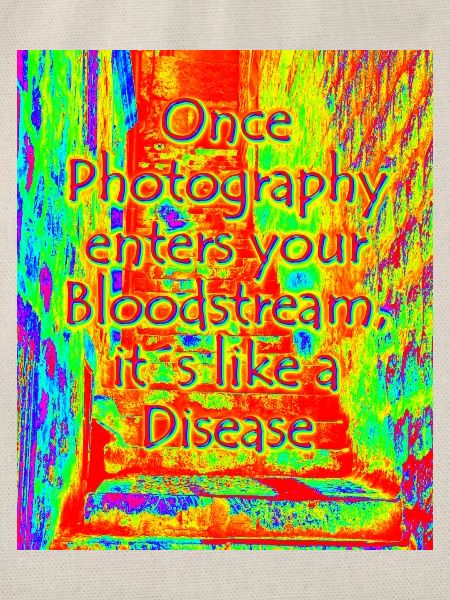 phtotography disease red