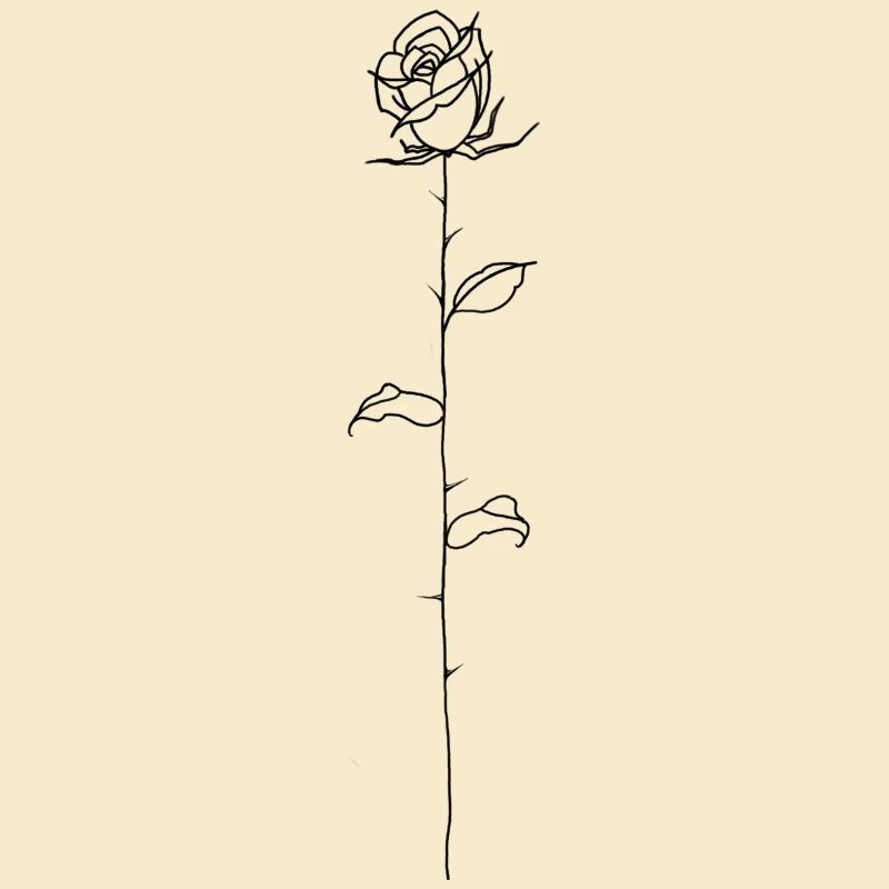 Schwarze Rose