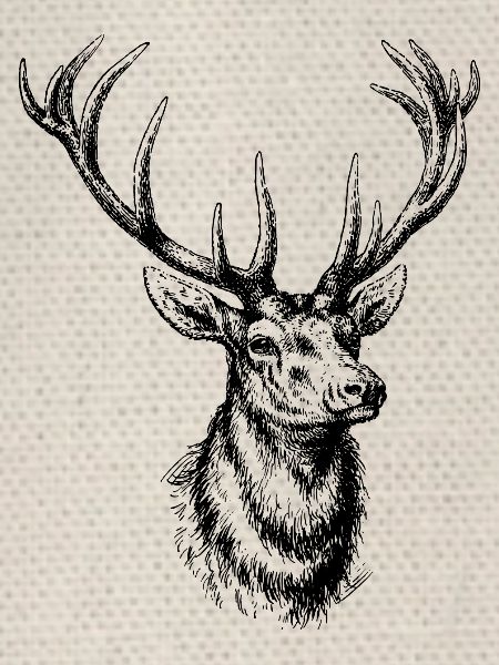 Wildtiere