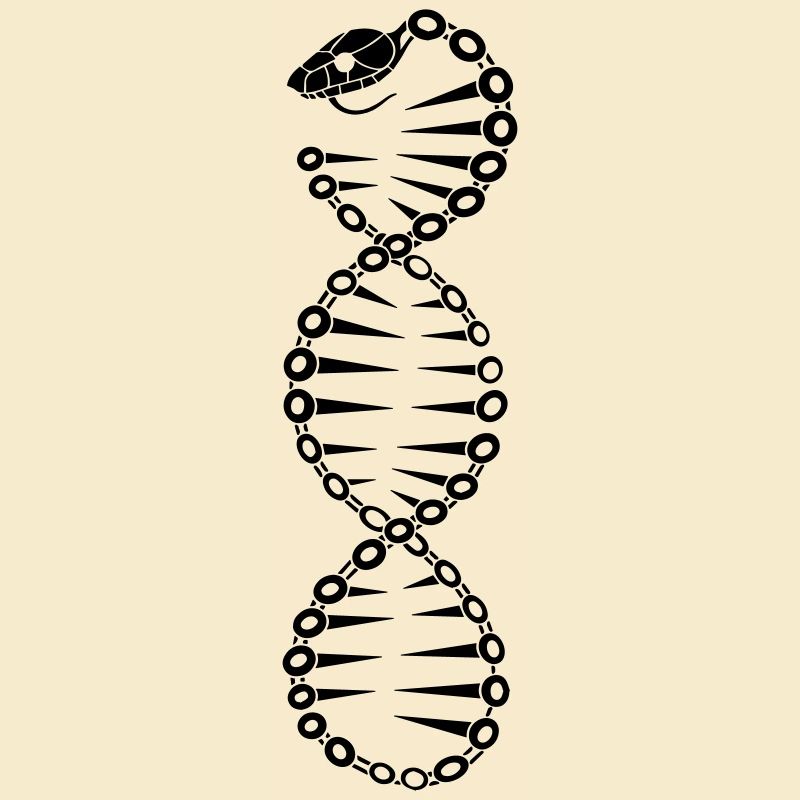 Serpent ADN 2