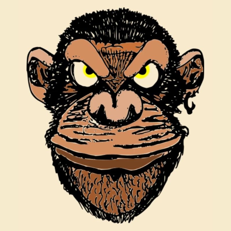 chimpanzee