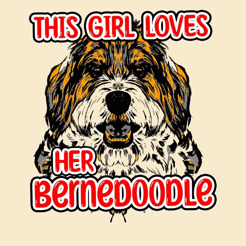 Bernedoodle Hund