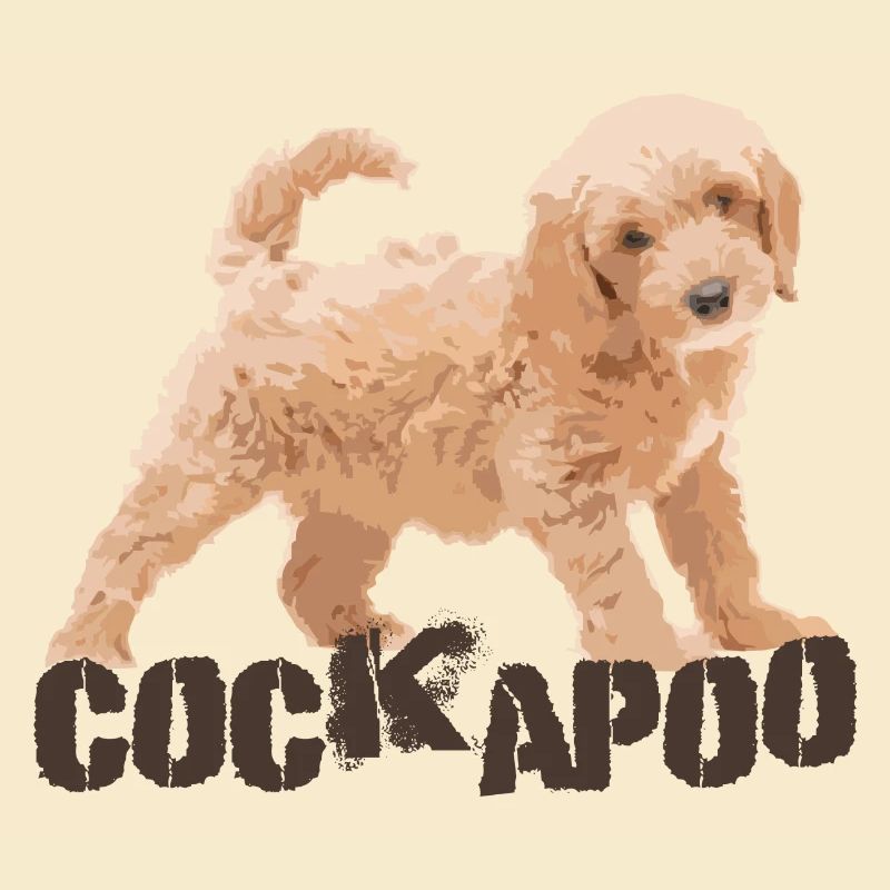 Cockapoo