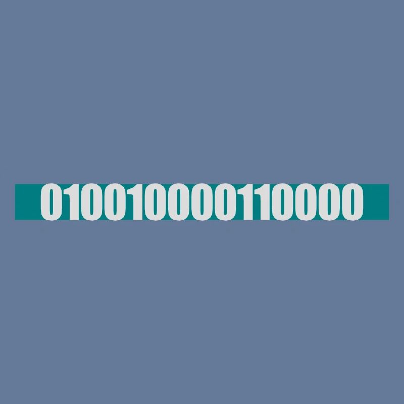 Binary Code Program Language
