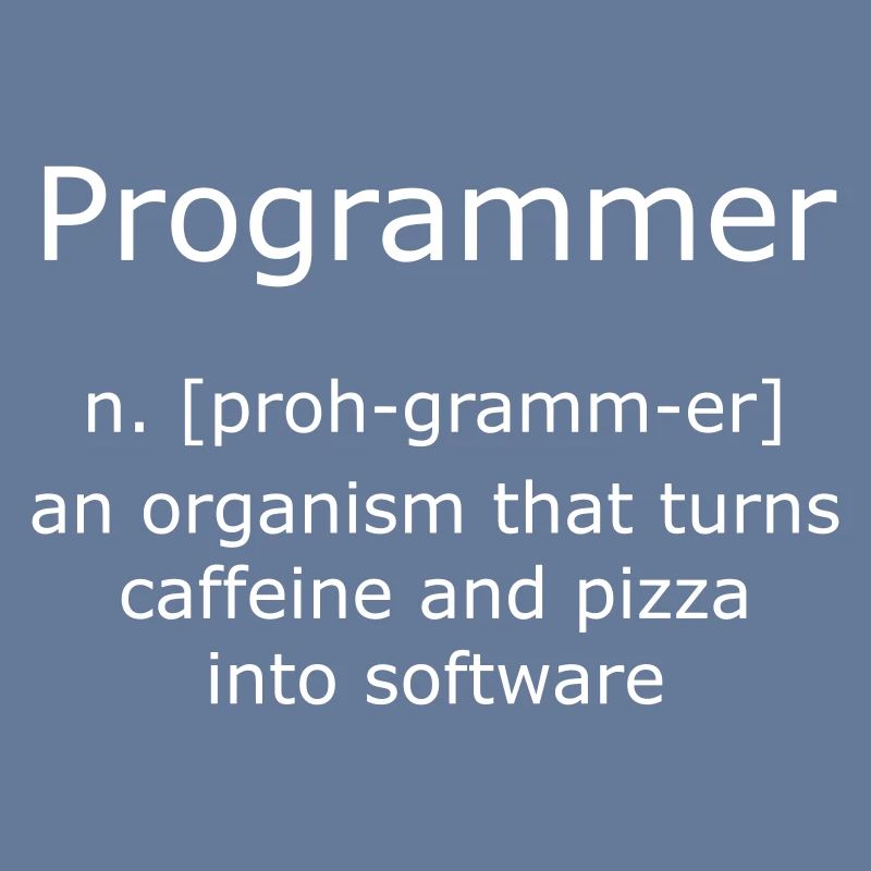 Programmer Programmierer