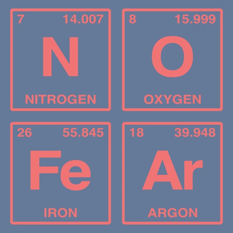NO FEAR - avec des éléments du système de perdiode