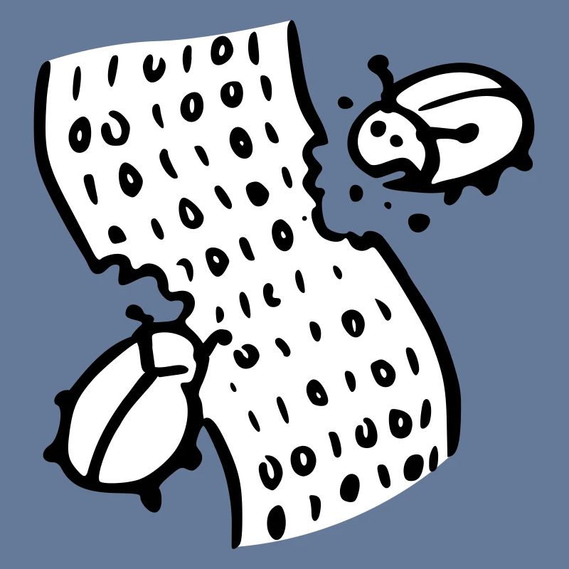 code bugs software