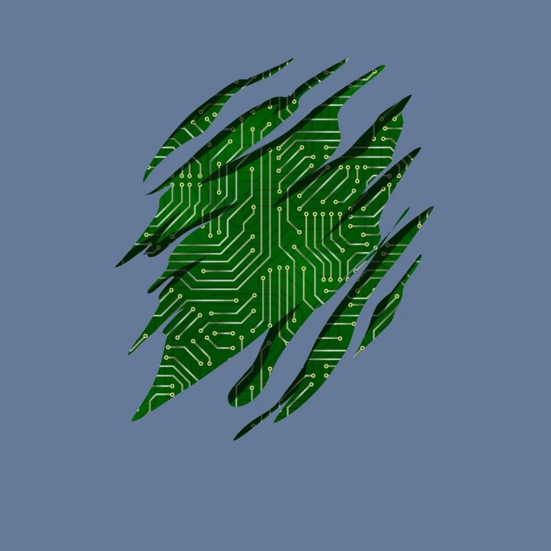 Developer Coder Programmer