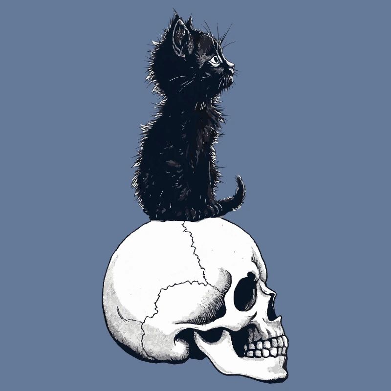 Cute kitten sitting on a skull