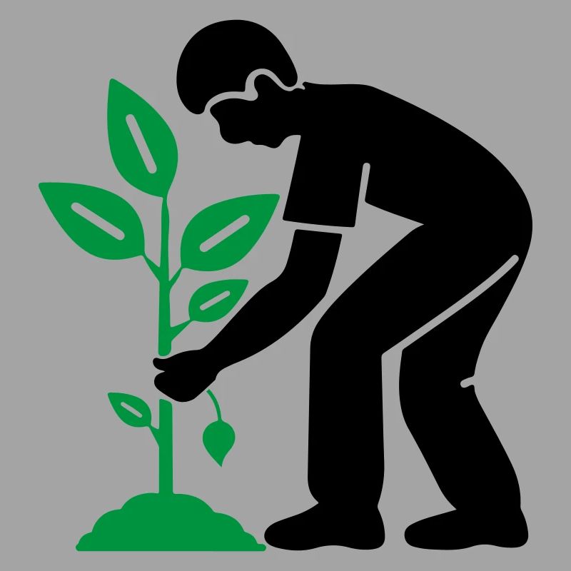 Tree Plants Garden Environment
