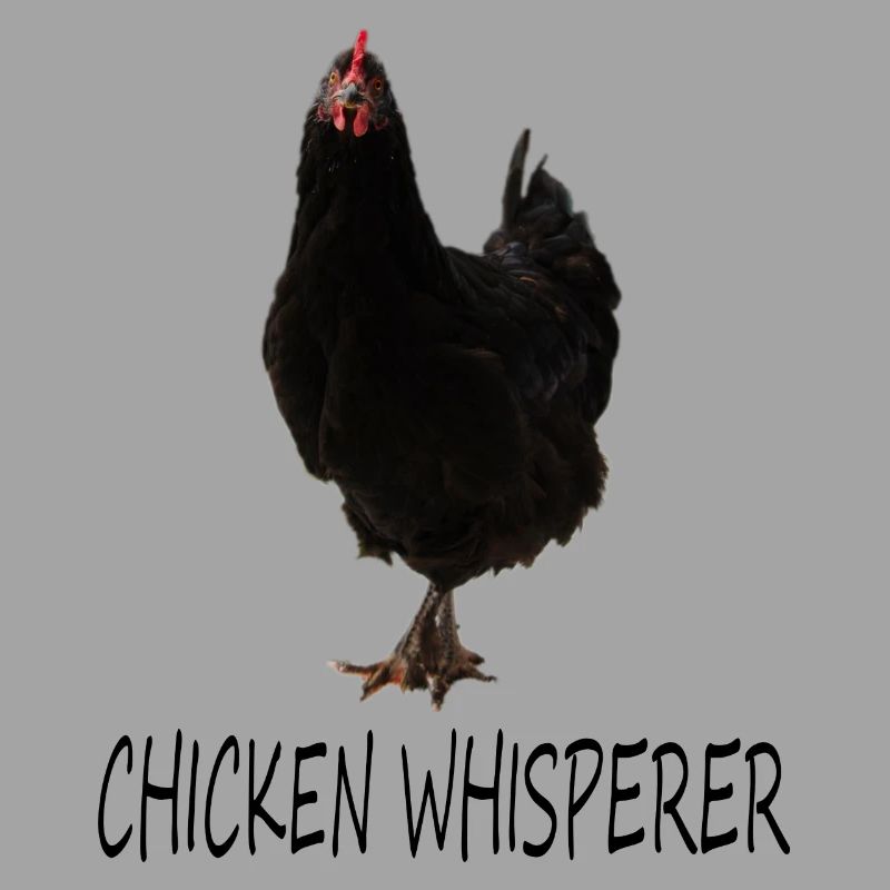 Chicken Whisperer | Marans Huhn | Hühner