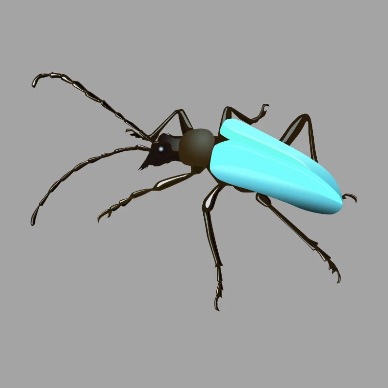 Bug - insect