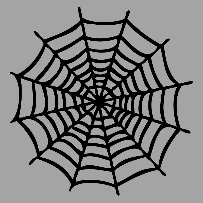 spider web1