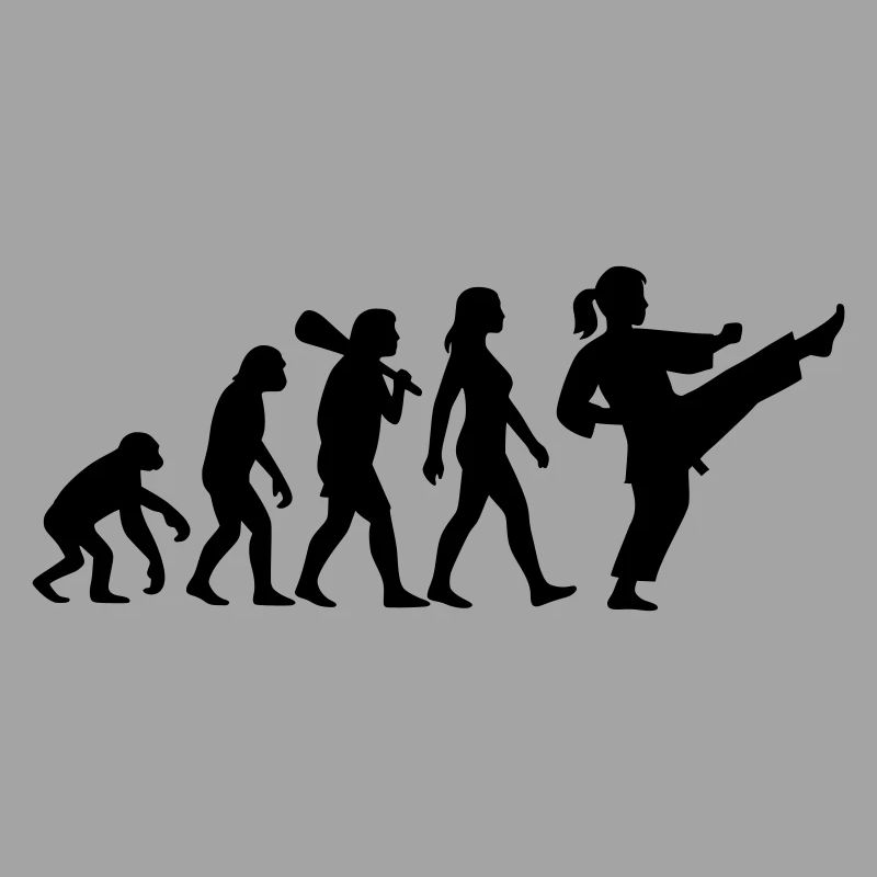 Karate Evolution