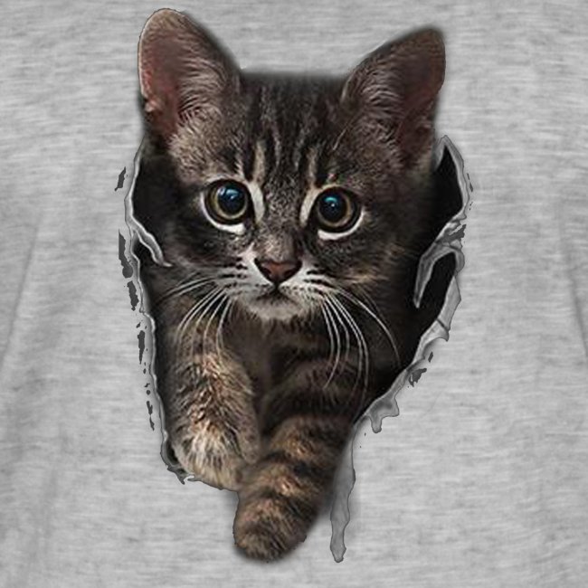 Katze Riss - Männer Vintage T-Shirt