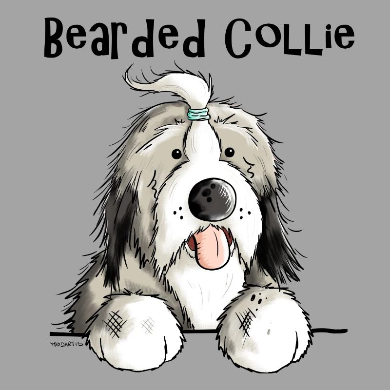 Mignon Bearded Collie