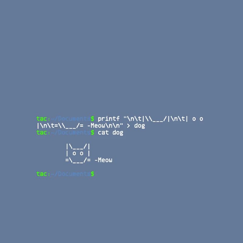 linux shell cat