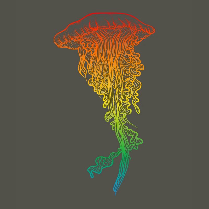 Jellyfish