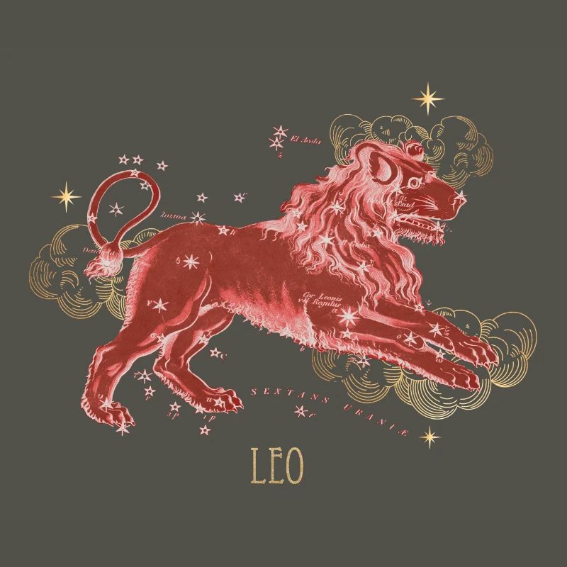 Leo Constellation Celestial Map