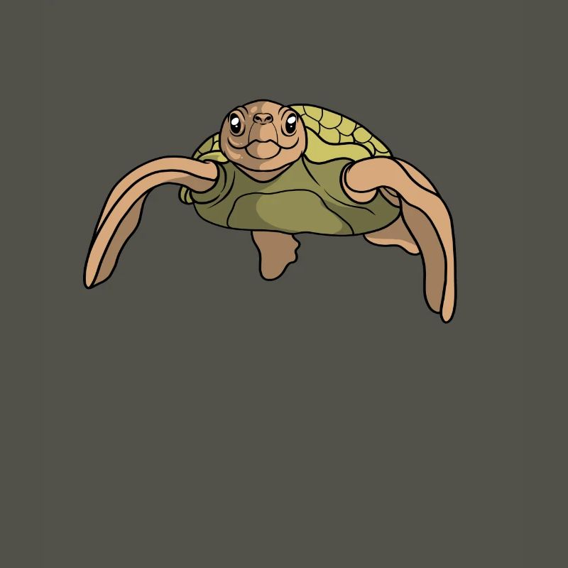 Turtle gift I sea turtle