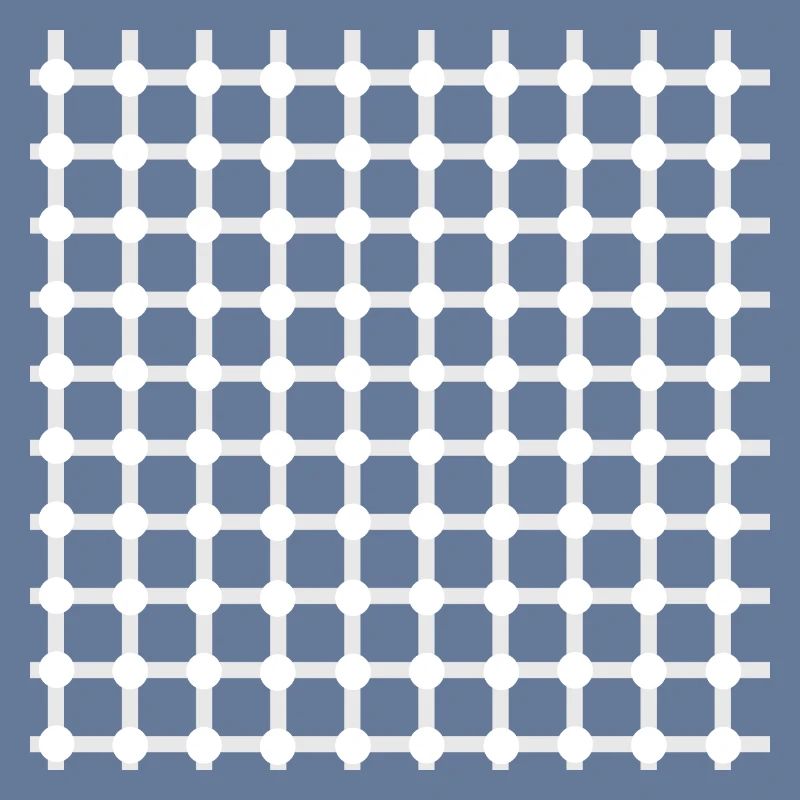 Hermann grid perception illusion optics gift
