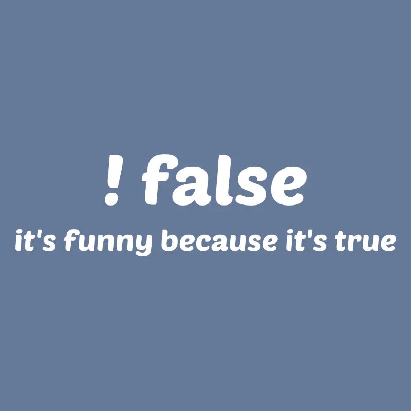 False It's Funny Because It's True Programmer Comp