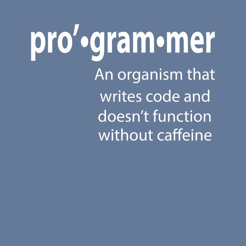 Programmeur - Coder - Hacker - IT
