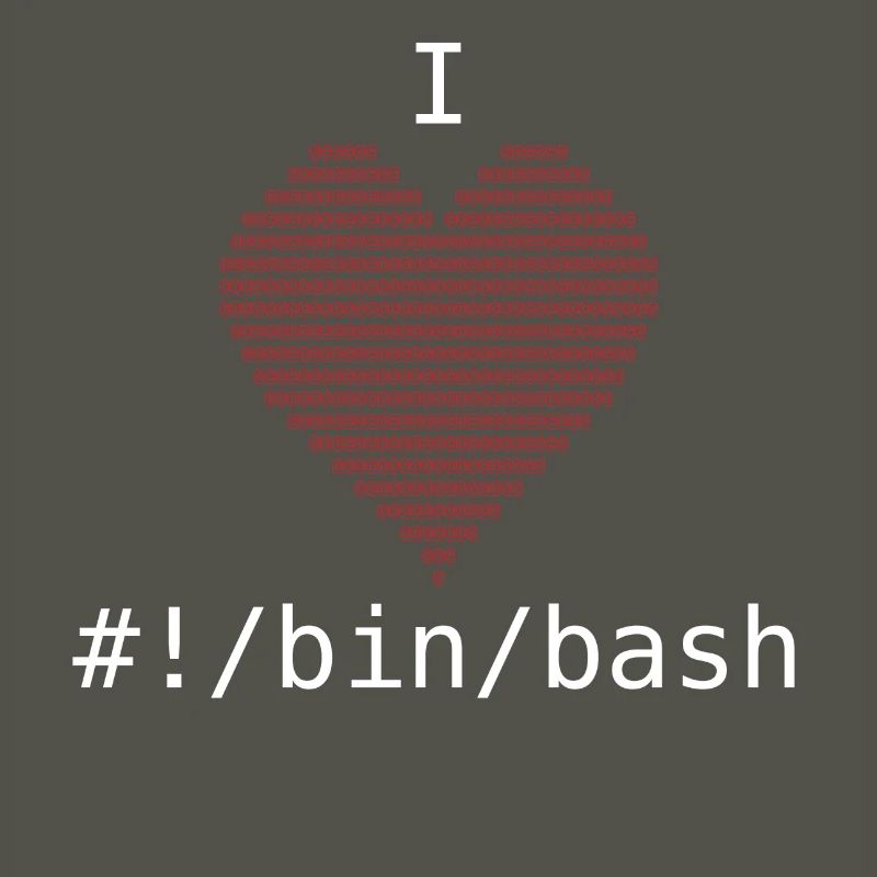 I Love Bash Administrator Developer Gift