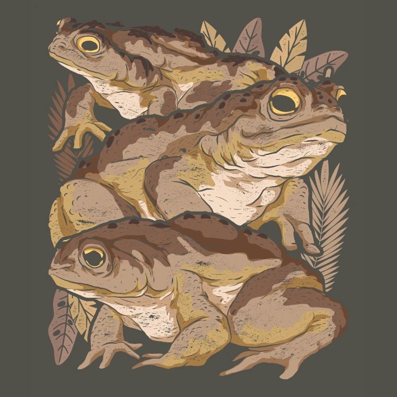 Frog Toad