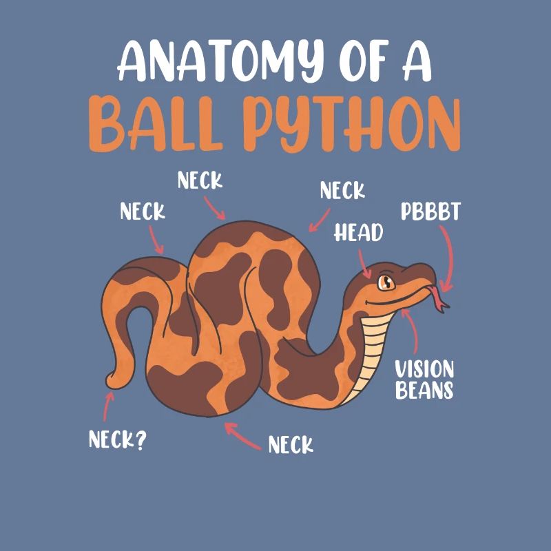 Snake Anotomy of a King Python Ball Python