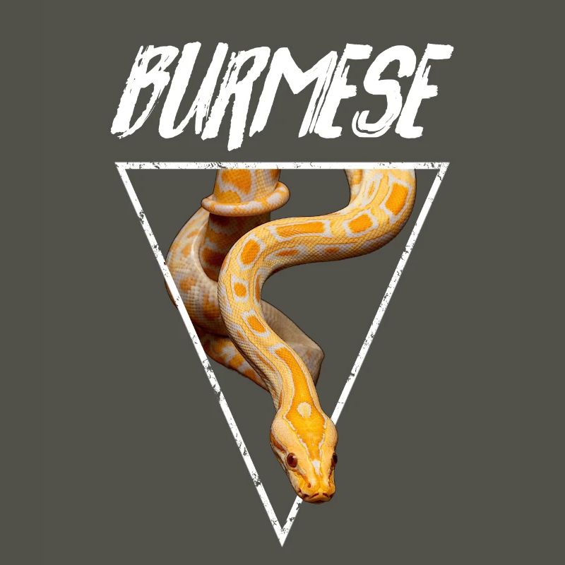 Propriétaire de serpent Python birman