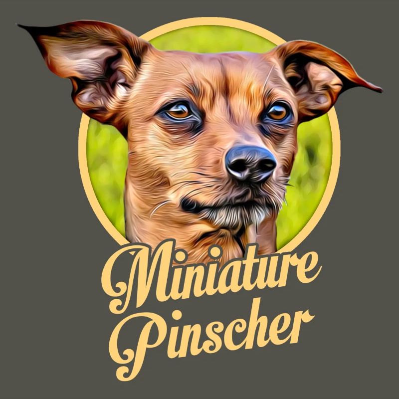Pinscher nain