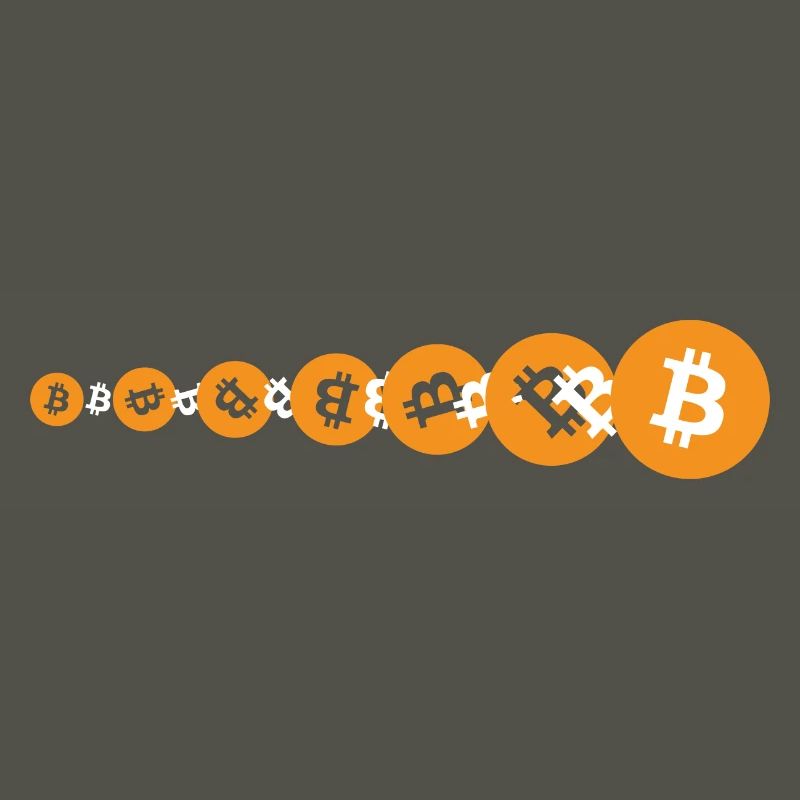 Bitcoin BTC Evolution