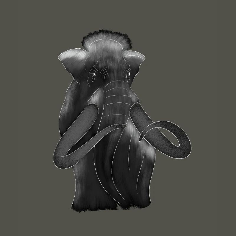 Mammut Eiszeit Elefant Steinzeit Geschenkidee Tier