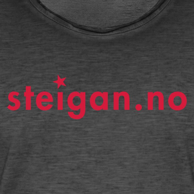 steigan.no logo