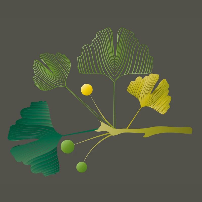 Branche de ginkgo faite de lignes de feuilles dans des tons verts doux