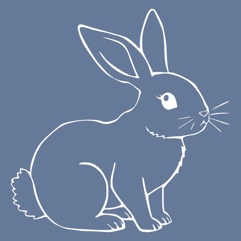 Rabbit Bunny Bunny Dwarf Rabbit Gift