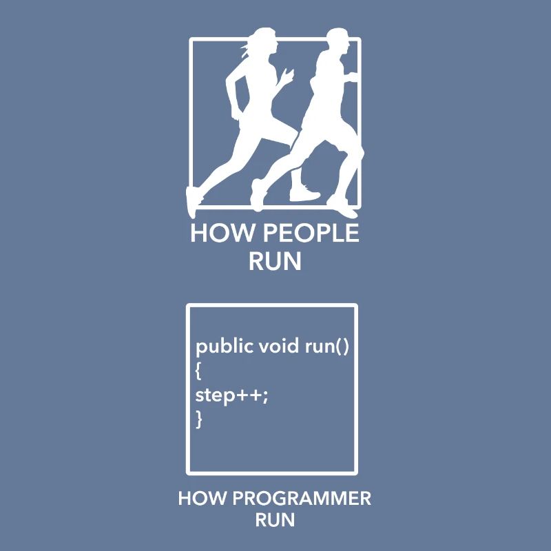 programmeur