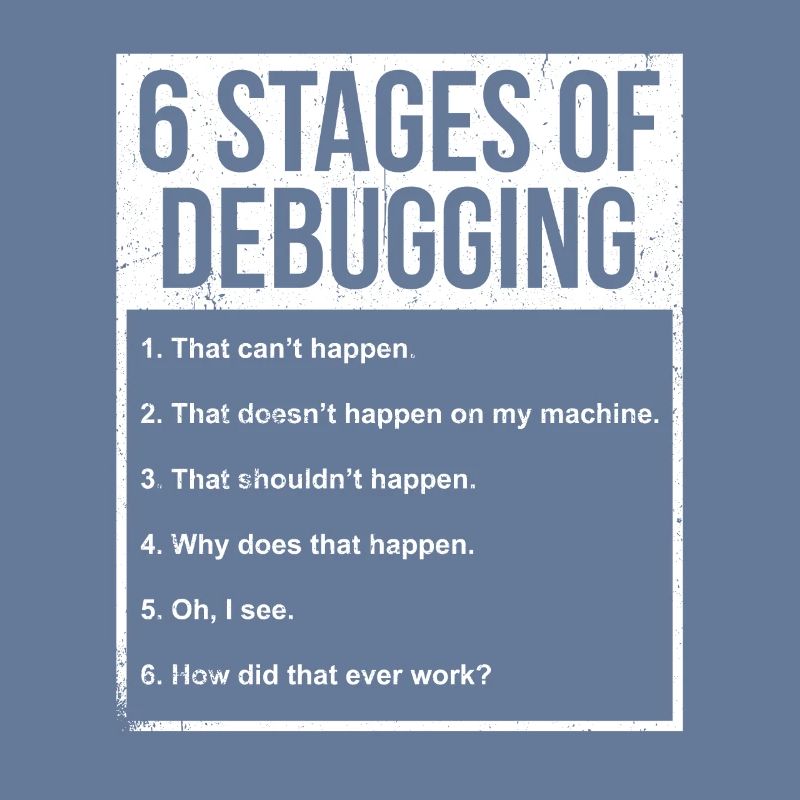 Programmer Funny gift idea