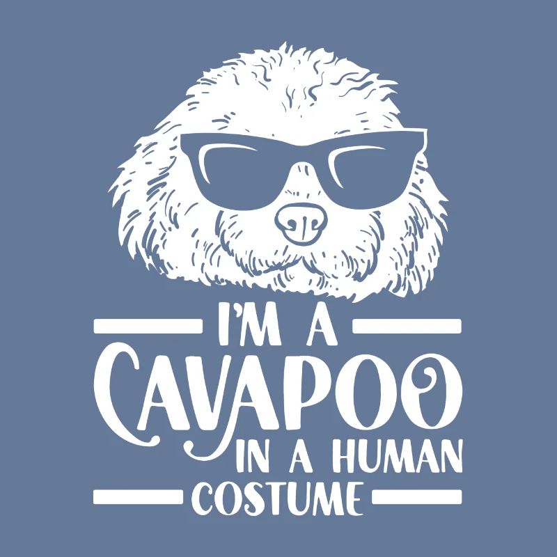 Cavapoo Cavoodle Capoodle Chien