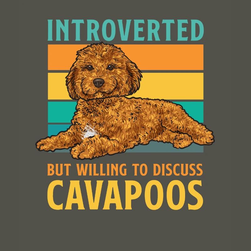 Cavapoo Cavoodle Capoodle Dog